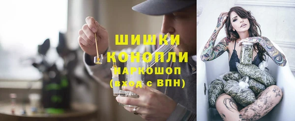a pvp Бородино