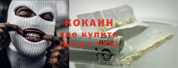 a pvp Бородино