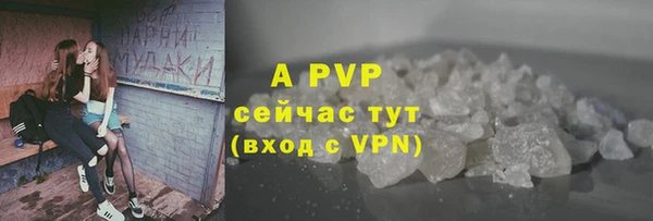 a pvp Бородино