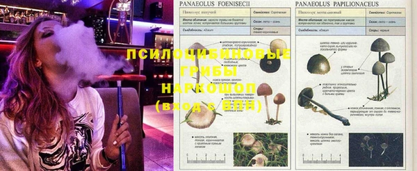 MDMA Premium VHQ Верея