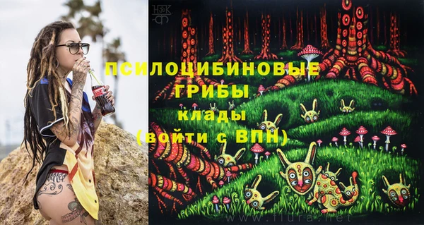 a pvp Бородино