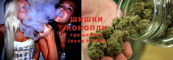 a pvp Бородино