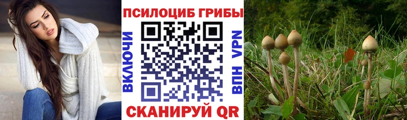 Псилоцибиновые грибы мухоморы  Меленки 